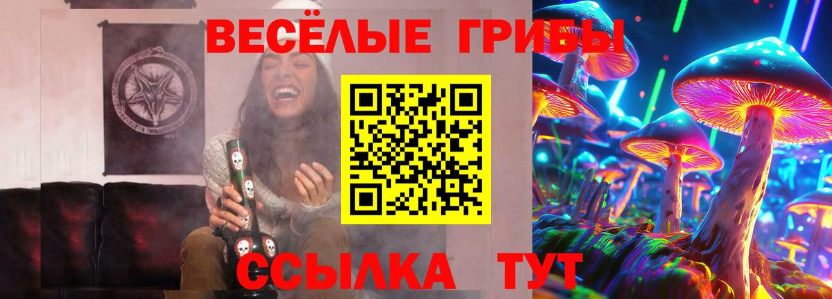Псилоцибиновые грибы Psilocybine cubensis  Псилоцибиновые грибы Psilocybine cubensis  Вход с VPN  Губкин 
